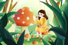 美味野生菌食用攻略图片