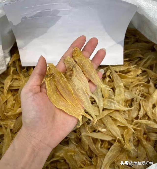 鱼胶价格表 便宜一点 2025年鱼胶的价格