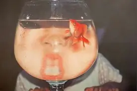 对不起，你只是一条鱼图片