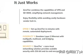 ZeroTier 自建PLANET( 行星服务器) 实现异地组网图片