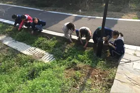 初中实践活动纳入中考，成绩认定是关键一环图片