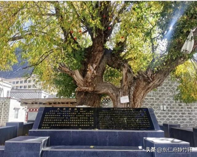 西安鄠邑区炉客后裔赴西藏洛隆硕督参加民族团结文化交流活动举行