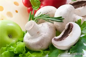 实用贴 | 鲜蘑菇怎样才能长期保存？3招搞定图片