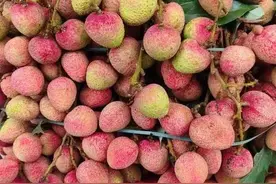 千万人都吃的水果，大家知道这是什么吗？没错啦，就是荔枝图片