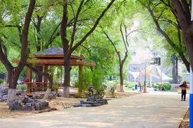 北京这所211大学适合女生报考！还被称作为是“海底捞大学”图片