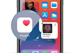 一文看懂 iPhone 自带 App《健康》各项指标图片