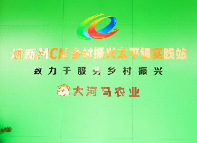 河马分期逾期一百多天，「三下乡」大河马农业科技有限公司：以数据为指引，助力乡村振兴 配图01