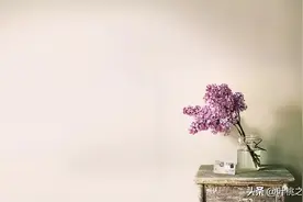 不回复，就是最好的回复图片