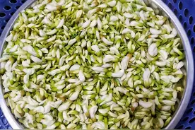 槐花：藏在树上的“蔬菜”，随处可见！用来包饺子，好吃又营养图片