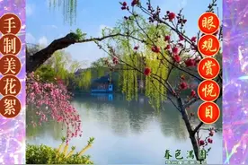 学做花絮有感悟图片