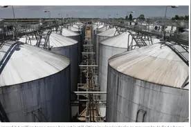 烂在地里 三重压力下维州红葡萄售价暴跌40%图片