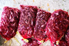 知了猴它全身都是宝，炸着吃酥脆好吃又美味，错过了又要等一年图片