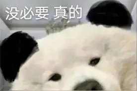 安卓 12 被曝严重漏洞，旗舰新机难了图片