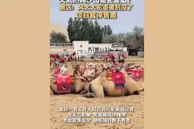 网传天太热鸣沙山骆驼累到“罢工”，负责人此前称骆驼每天走30多公里，景区：驼道被风刮没了，项目暂停售票图片