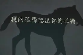 多彩贵州城音乐之旅 | 快收藏！爽爽贵阳云游音乐节朋友圈歌词背景图来啦！图片