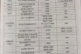 新增高中、学费上涨…2022武汉民办高中格局大变化图片