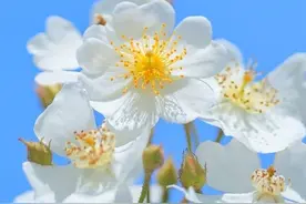 子女与父母翻脸变仇人，多半是因为这三件事，可惜很多人从不注意图片