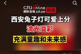 全网浏览1500万＋！“西安兔子灯”火了图片