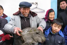 村民捡46斤百年大老鳖，放生后竟惹巨大争议，巨鳖恐将泛滥成灾？图片