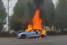 比亚迪海豚起火燃烧，销售员说：是车主自己泼的汽油图片