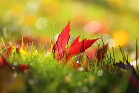 记住了，亲戚之间关系再好，随礼时，也要守住这几条规矩图片