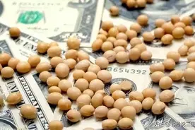 中美粮食战争：四大粮商联手做空中国，不料却惨败中储粮图片