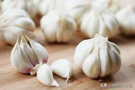 21年大蒜出口数据汇总，出口同比大降，高库存重压下，出路在哪图片