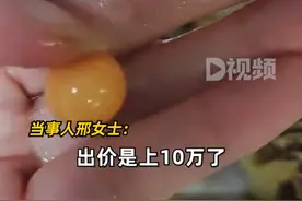 女子花85元买椰子螺开出4.52克美乐珠，当事人：有珠宝商出价上十万，但没有谈拢，感觉自己很幸运图片