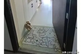 一人一屋三餐四季，过着自由又幸福的独居生活，太让人羡慕啦图片