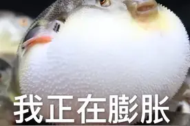 QQ极简版！真正的小而美，体积不到原来三分之一图片