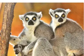 北京大兴区十大著名景点图片