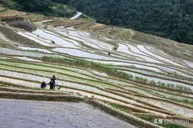 「京山文学」母亲借米图片
