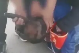 私自外出遭剃头？实为恶搞视频，网友怒了图片