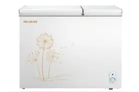 盘点各品牌冰柜的性价比之王，这8款让你放心囤货不再怕图片