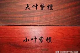 关于红木家族里的酸枝木你了解多少，国标里的半壁江山都在这里图片