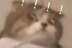 俄语“苏卡”到底是什么意思图片