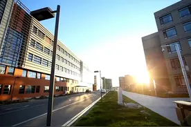 我被老爸骗去新疆上大学图片