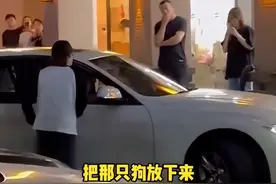 婆婆私自将狗送人，儿媳当街愤怒锤车：把那只狗放下来！图片