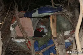 14年福建男孩树上搭窝居住，每日靠拾荒过活，连肯德基都不知是啥图片