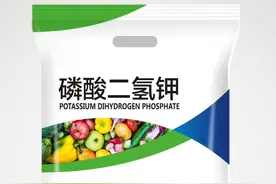 如何妙用万能肥磷酸二氢钾，必学的复配小妙招和注意事项图片
