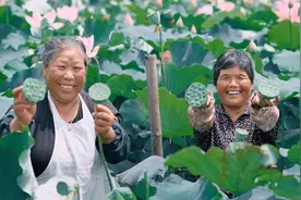 太仓这个村，很“水”图片