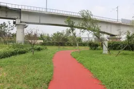 150000㎡！迎宾路沿线要大改造！图片