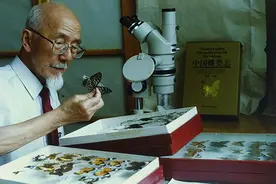 不杀大虫，杀小虫何用！| 时光信函图片