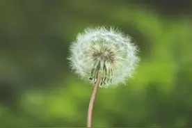 一个人的时光，真的可以很美图片