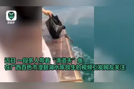 男子放生“清道夫”接受调查，“清道夫”有多可怕？一口气了解图片