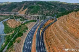 网上审验资格证后还需盖章吗？高速费用怎么补交？去皮的大蒜子等享受“绿通”吗？图片