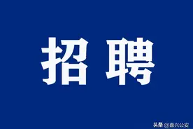 招录公务员80名！11月11日起报名！图片