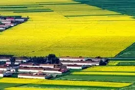 城镇居民退休后回乡买地建房，土地买卖合同是否有效？图片