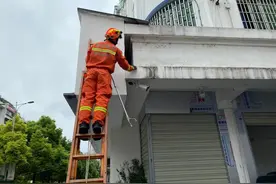 暖心，“喵星人”被救后居然黏上了消防员图片