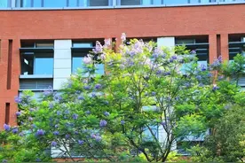 “重点班”居然就是普通班！高中选班型要看清楚图片